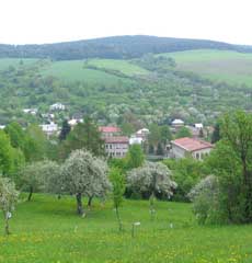 zima na školskom dvore